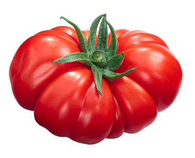Pomodoro Costoluto Fiorentino - pomidory toskańskie