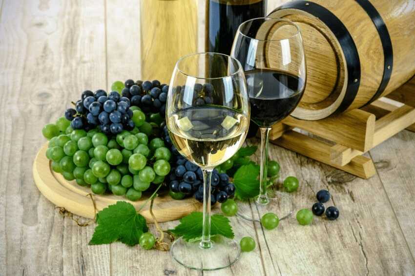 Trequanda - wino, jedzenie i toskańska sielanka