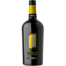 Astoria Vini Caranto Pinot Noir Trevenezie IGT czerwone wino wytrawne
