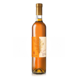 Casalino Vin Santo del Chianti DOC wino słodkie